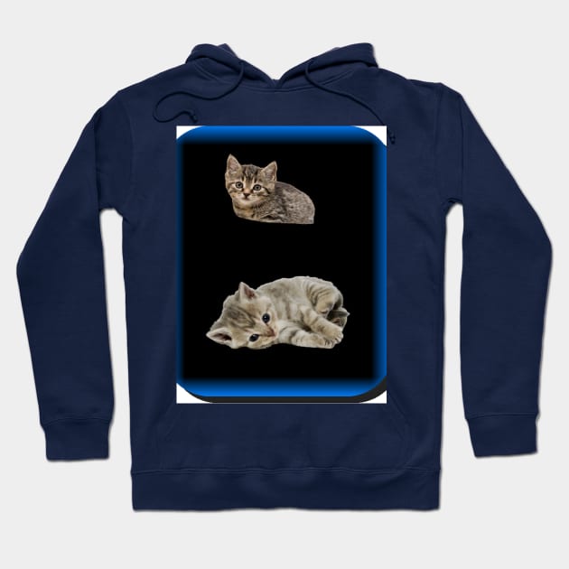 kittens Hoodie by KA&KO